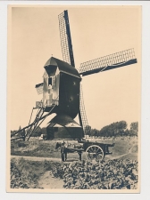 Briefkaart G. 254 x 