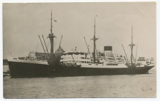 Prentbriefkaart SMN - M.S.  Tabinta 1950